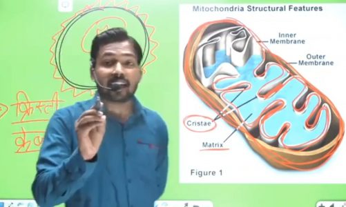 सूत्रकणिका | Mitochondria | Khan GS Research Centre | By khan sir patna | Education and Knowledge