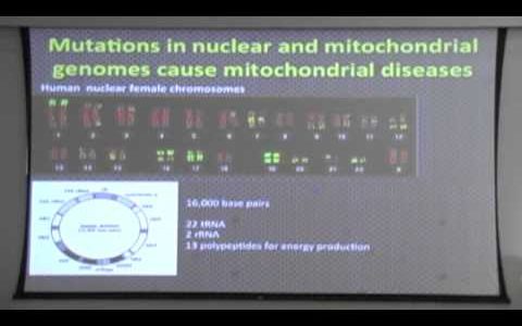 COSMOS DLS 2013 Dr. Jodi Nunnari "I Breathe for Mitochondria" July 24, 2013