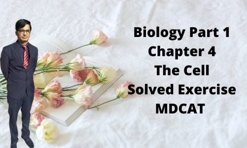 Chapter 4 The Cell Biology Part 1 Textbook (Never Use Guide Books)