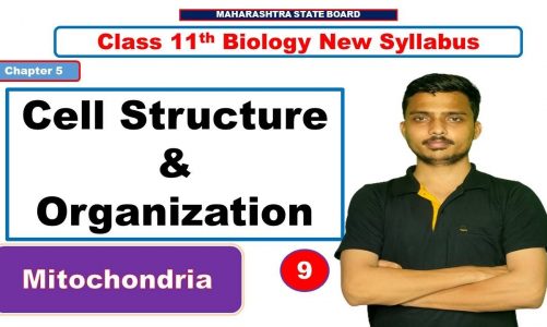 Mitochondria Structure and Function ICell Structure and Organization class 11 #mitochondria_in_hindi