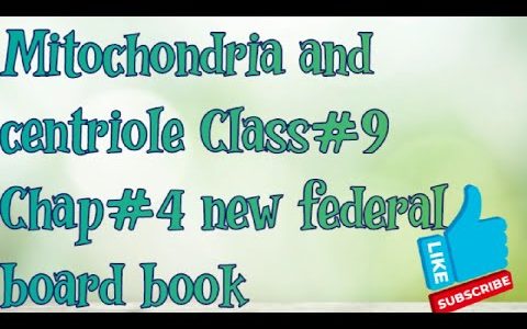 Mitochondria and centriole Class#9 Chap#4 new federal board book