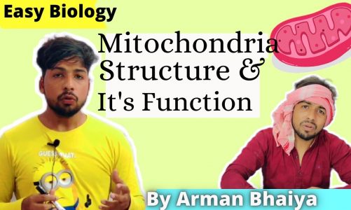 Mitochondria|class 9,10|Cell Organelles|CBSE|NCERT|Cell Structure and Functions||Arman Sir|Bhaiyaji