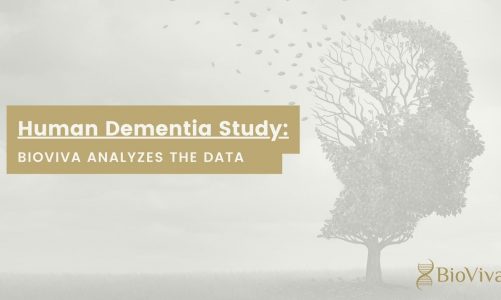 Human Dementia Study: BioViva Analyzes the Data