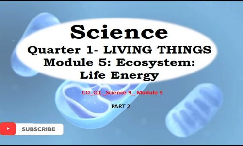 Ecosystem: Life Energy (Part 2 Cellular Respiration)