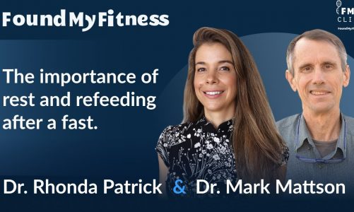 The importance of rest and refeeding after a fast | Dr. Mark Mattson