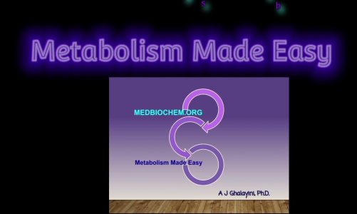 Metabolism Made Easy- Citrate: A Master Regulator