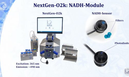 NextGen-O2k: the NADH-Module