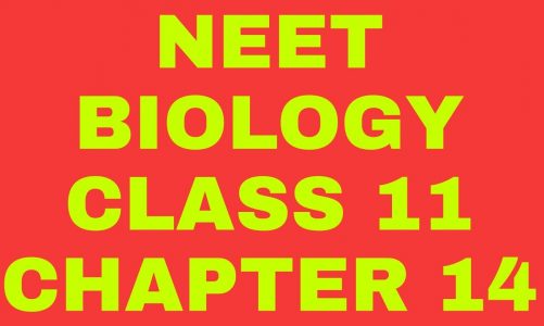 NCERT NEET BIOLOGY CLASS 11 CHAPTER 14 RESPIRATION IN PLANTS