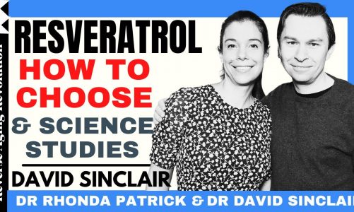 DAVID SINCLAIR “Resveratrol: How to Choose & Science Studies” | Dr David Sinclair Interview Clips