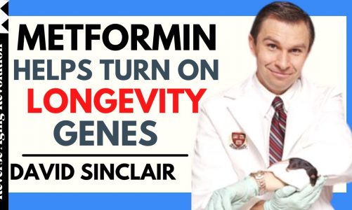 DAVID SINCLAIR “Metformin Helps Turn On the Longevity Genes" | Dr David Sinclair Interview Clips
