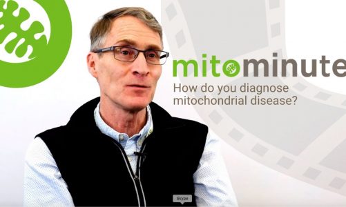 How do you diagnose mitochondrial disease?