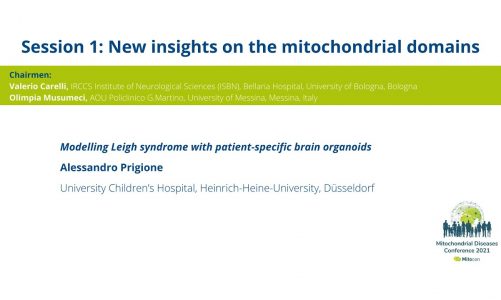 Modelling Leigh syndrome with patient-specific brain organoids, Alessandro Prigione