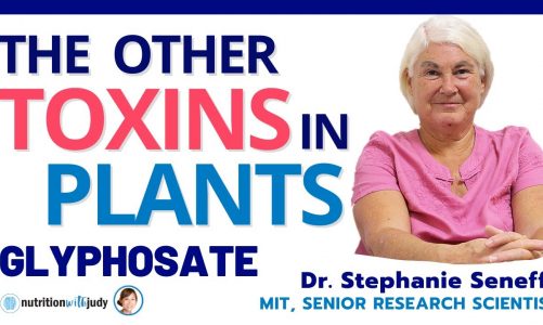 The Other Toxins in Plants: Glyphosate – Dr. Stephanie Seneff