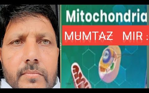 STRUCTURE AND FUNCTION  OF MITOCHONDRIA/  CELLS  ORGANELLS/ URDU/HINDI. BY …MUMTAZ MIR.