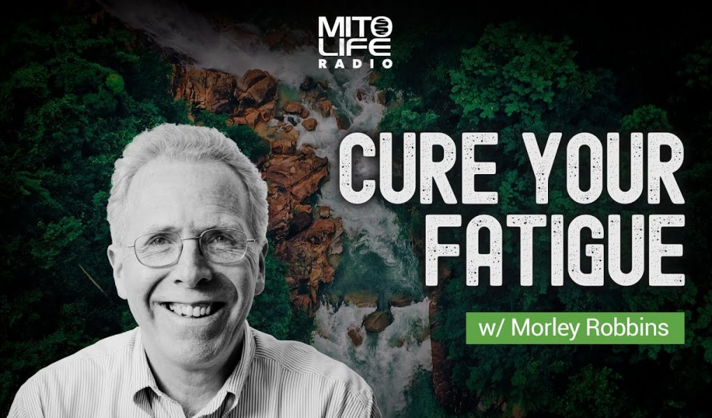 Cure Your Fatigue w Morley Robbins Mitolife Radio Ep 151 Athletic