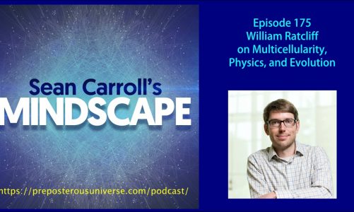 Mindscape 175 | William Ratcliff on Multicellularity, Physics, and Evolution
