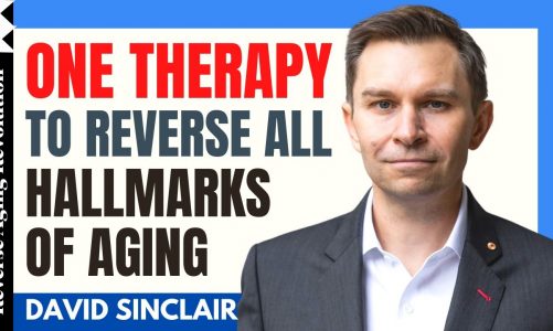 DAVID SINCLAIR “One Therapy To Reverse All Hallmarks Of Aging” | Dr David Sinclair Interview Clips