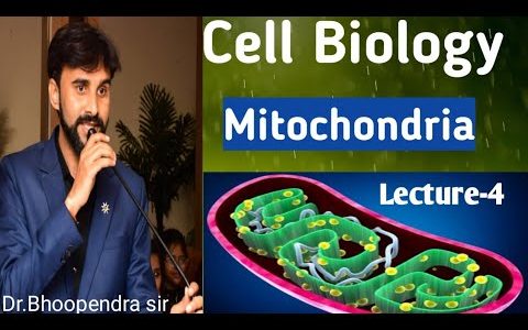 #Cell biology# Mitochondria# Lecture-4#neetbiology#