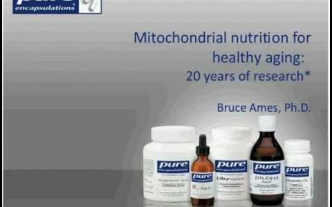 Mitochondrial Nutrition for Healthy Aging: 20 Years of Research