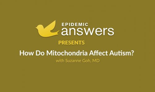 How Do Mitochondria Affect Autism with Suzanne Goh MD