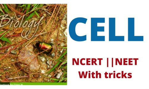 CELL || NCERT || NEET || BIOLOGY || Class 11th