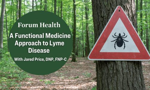 A Functional Medicine Approach to Lyme Disease