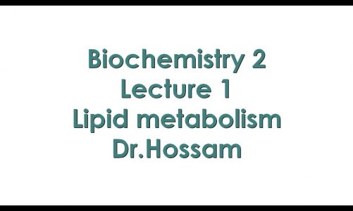 Lipid Metabolism (lecture 1) 2021