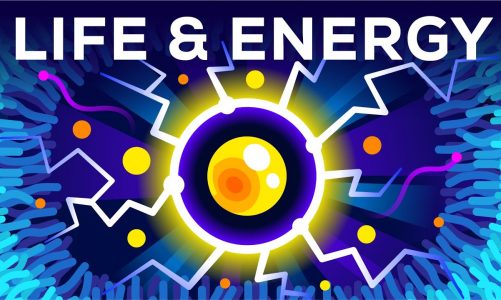 Why Are You Alive – Life, Energy & ATP