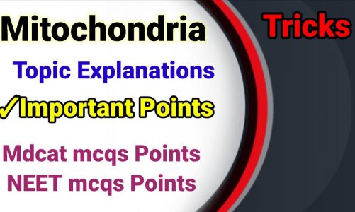 Mitochondria – Topic | Mdcat/NEET mcqs | Mcqs points | Mdcat online prep | NEET 2022 online prep
