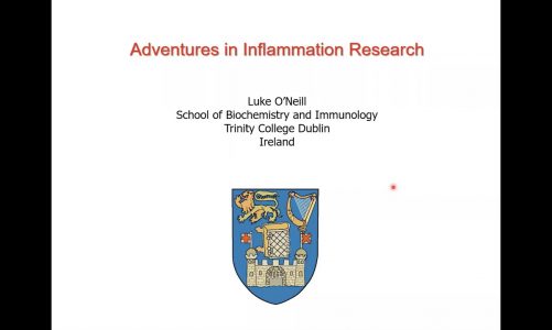 Adventures in Inflammation Research