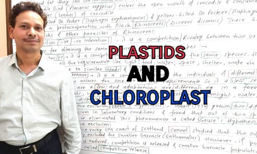 Plastids and Chloroplast | For IAS,NEET,GATE,NET and BSc