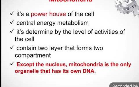 Af-soomaali||Mitochondria||Cytoplasmic Otganells