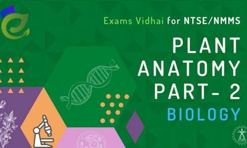 Plant Anatomy and Plant Physiology – Part 2 | Science | NTSE NMMS | Vidhai Exams Possible