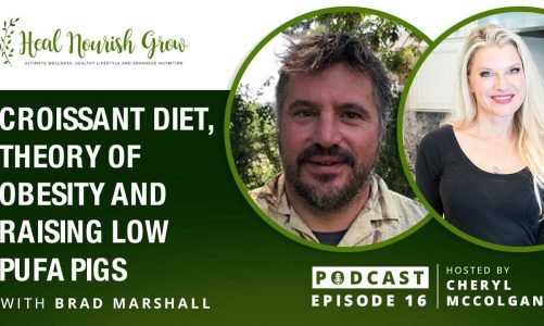 Croissant Diet, Theory of Obesity and Raising Low PUFA Pigs