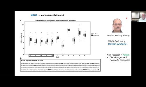 HG Behavior – MAOa   Brunner Syndrome
