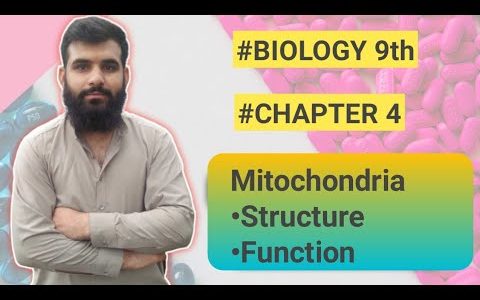 Mitochondria Structure and Function | Biology Class 9th | (The power house of ce#biology#biologi