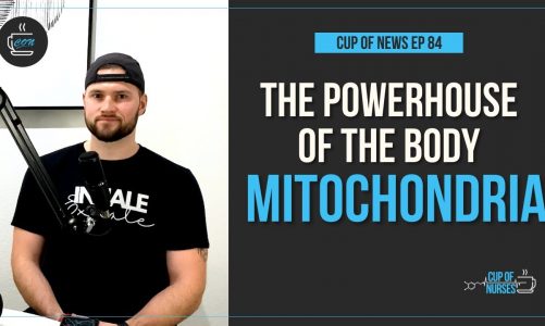 EP 84: The Power of Your Mitochondria