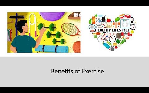 Exercise Enhancement Science – Benefits