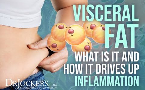 Visceral Fat Drives Up Inflammation and What You Can Do About It