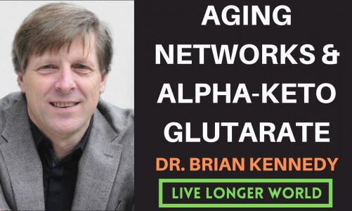 Dr. Brian Kennedy | Aging Networks & Biomarkers, AKG, Spermidine and Longevity of Bats