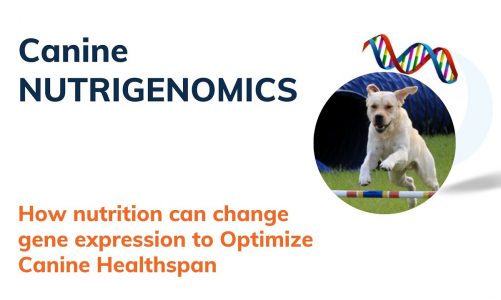 Canine Nutrigenomics (January 2022)