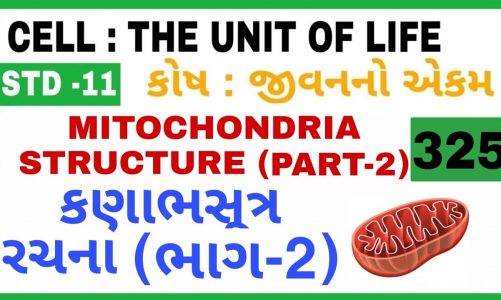MITOCHONDRIA STRUCTURE (PART-2) IN GUJARATI  ||કણાભસૂત્ર રચના (ભાગ -2)