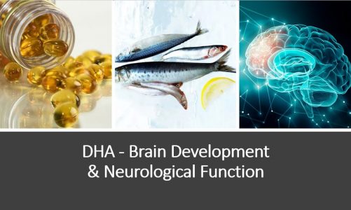 DHA – Brain Development & Neurological Protection