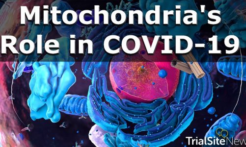 The Mitochondria's Role in COVID 19 | Interview