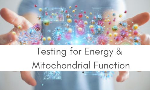 Testing for Energy and Mitochondrial Function by Vanita Dahia