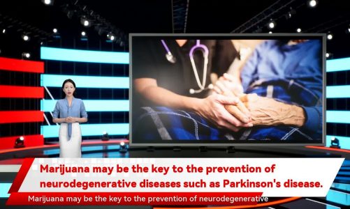 Marijuana may be the key to the prevention of neurodegenerative diseases such as Parkinson's diseas