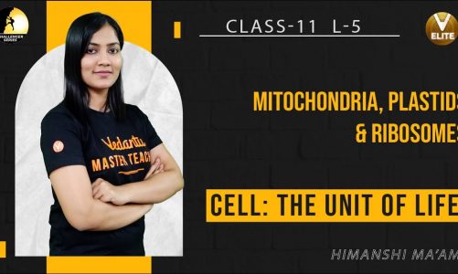 Cell The Unit of Life Class 11- L5 | Mitochondria, Plastids and Ribosomes [ NEET 2023 ] | Chapter 8