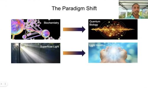 The Paradign Shift w Roudy Nassif