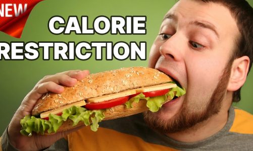 What is the Effect of Calorie Restriction on Lifespan and Healthspan? Dr. Eric Verdin Explains.