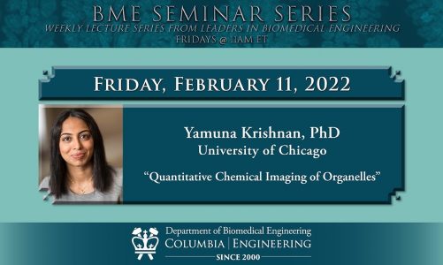 2022.02.11 Seminar – Yamuna Krishnan, University of Chicago